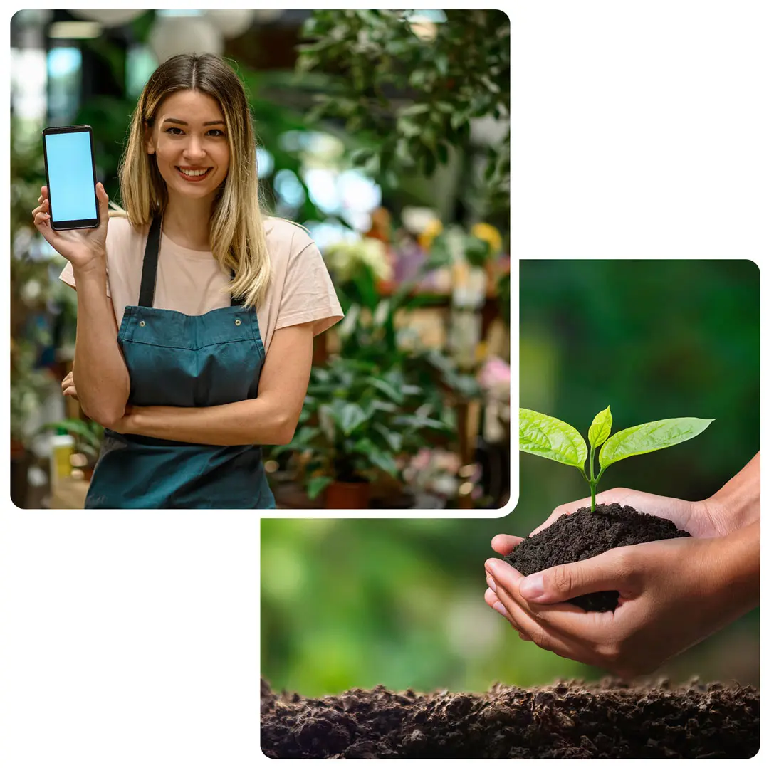 Landscaping Landscaping