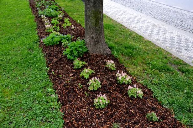 The Role Of Mulching In Enhancing Garden Aesthetics Mebane NC