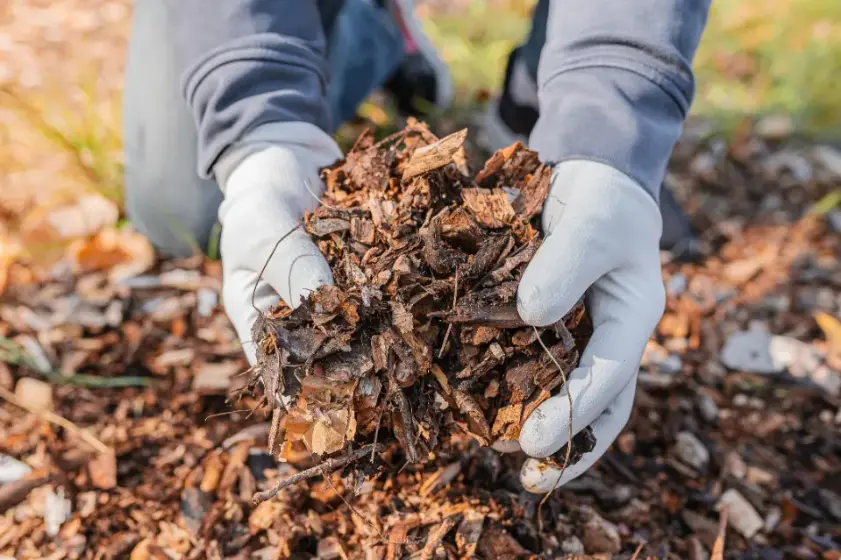 Tips For Applying Mulch To Maximize Landscape Longevity Mebane NC